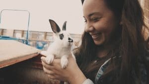 cuddle the bunnies