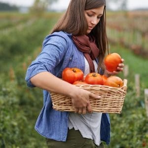 Join our Forsythe Farms CSA program for a secure source of fresh, locally grown fruits and vegetables