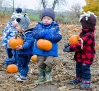 pumpkin picking in the pumpkin patch