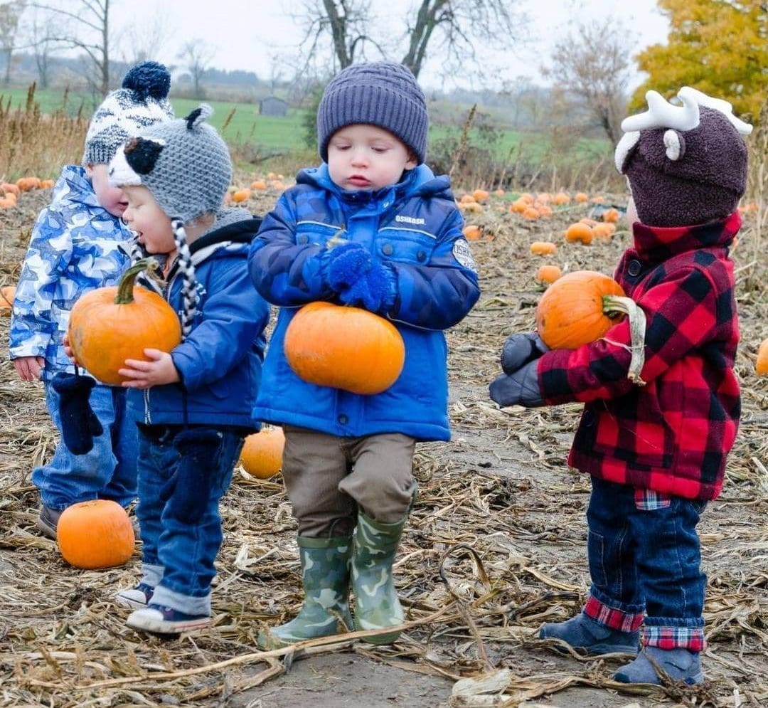 Pumpkin Patch Conversations