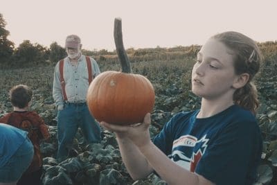 pumpkin-time pumpkin picking in the pumpkin patch