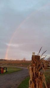 Rainbow over Forsythe Family Farms