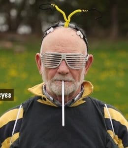 bees
