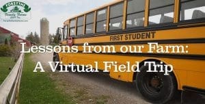 Lessons from our Farm