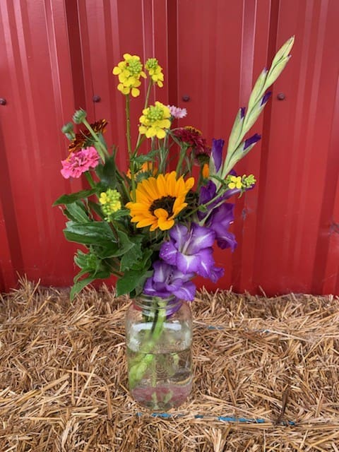 bouquet of flowers cut your own flowers