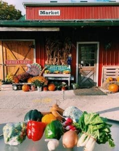 CSA Fall