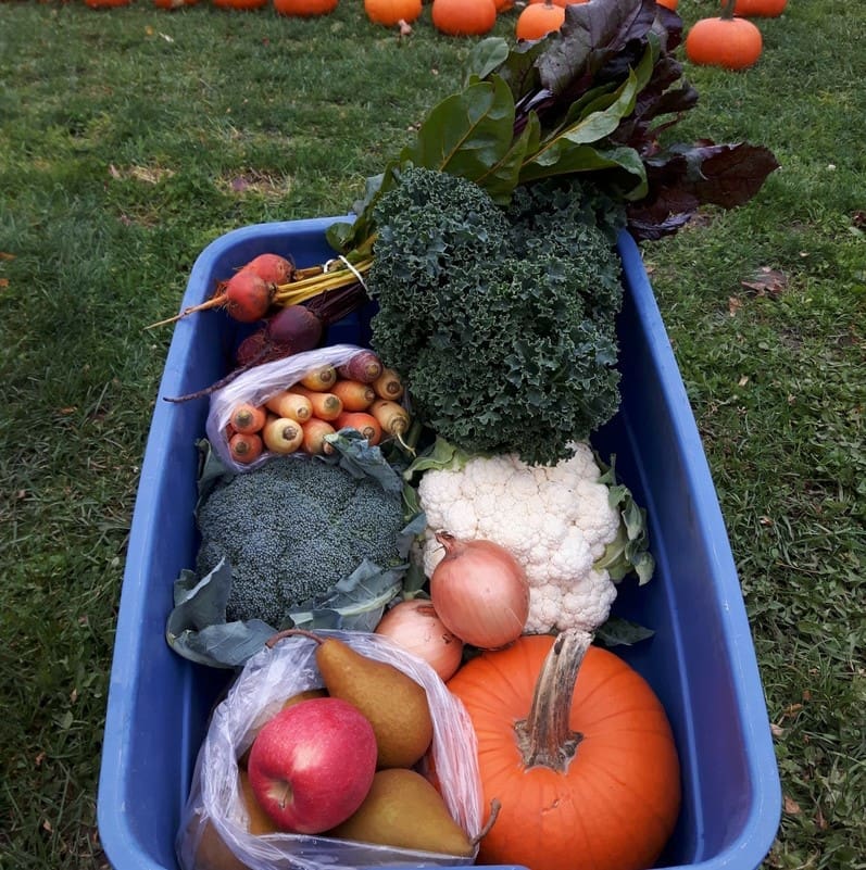 Fall CSA Bi-Weekly October to December - Image 5