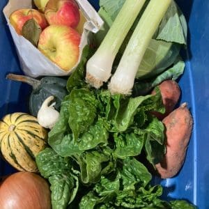 CSA fall share