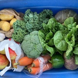 CSA fall share 1