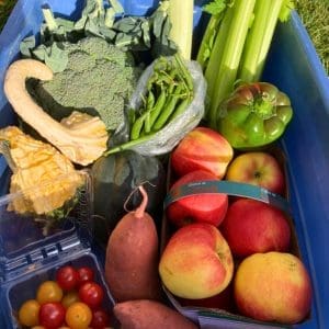 CSA fall share 2