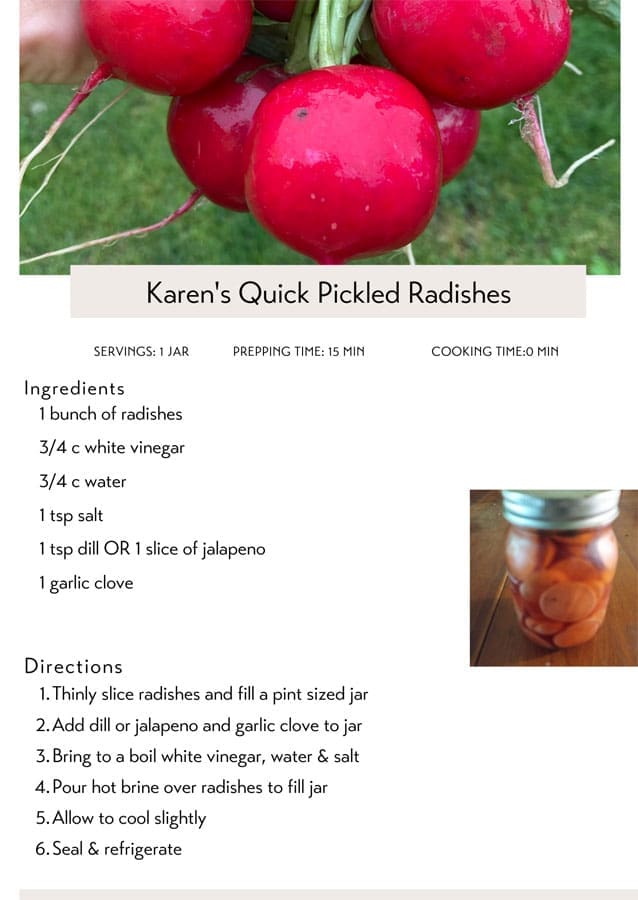 Quick Pickled Radishes
