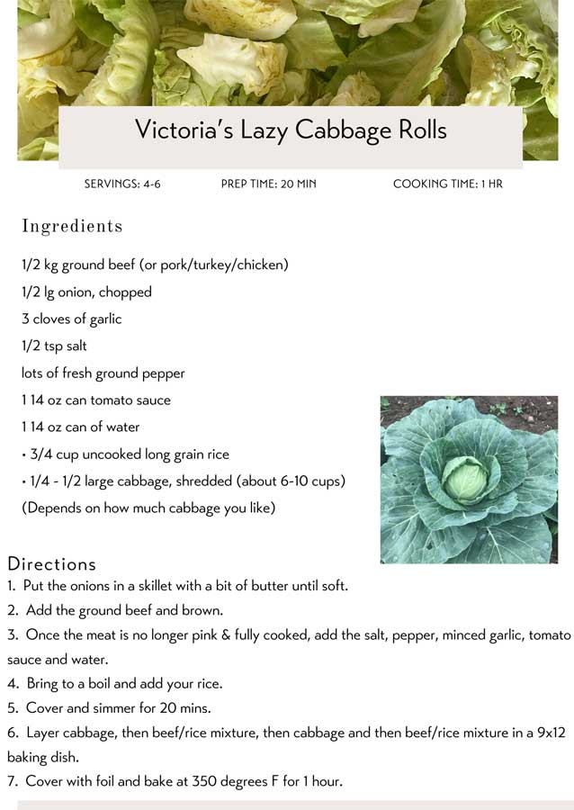 Cabbage Roll Casserole