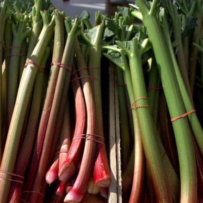 Rhubarb