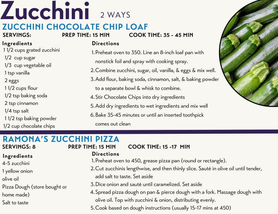 Zucchini Recipes for CSA