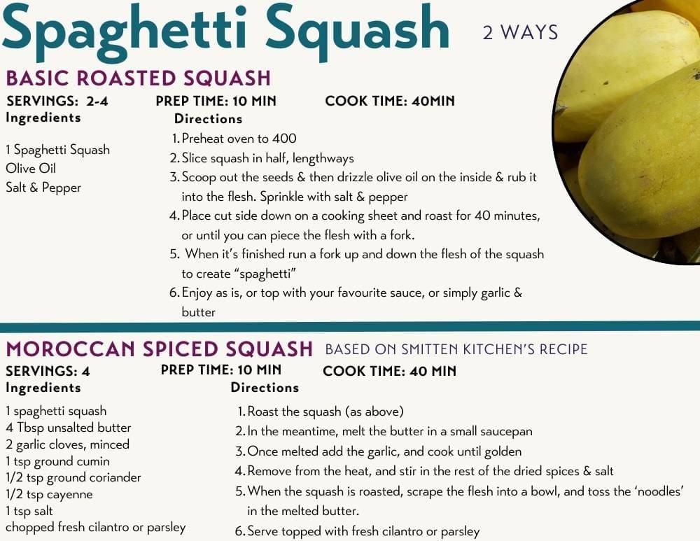 Spaghetti Squash - Forsythe Family Farms