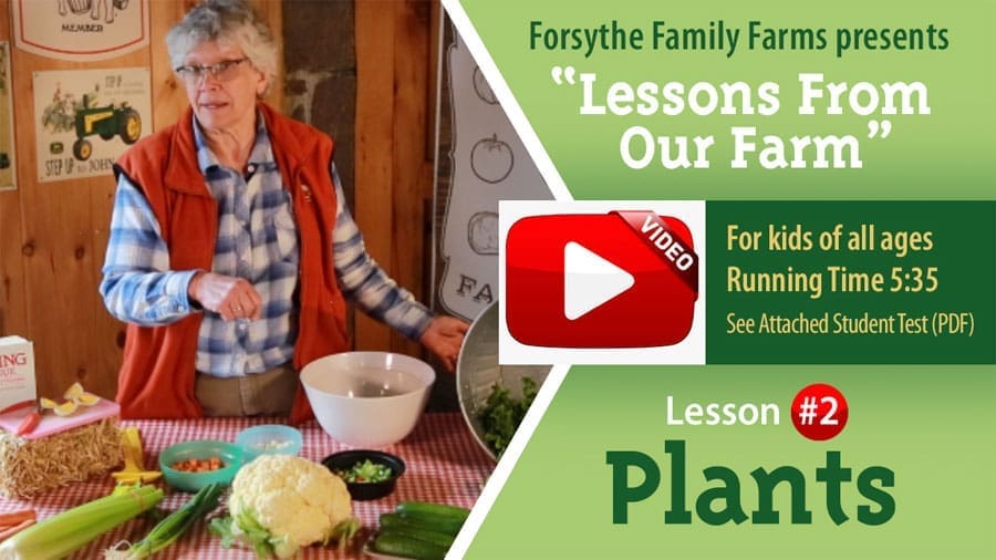 Lessons on the Farm - Plants