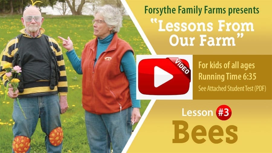 Lessons on the Farm - Bees