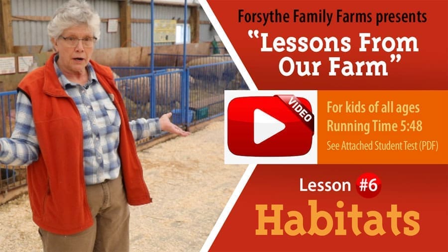 Lessons on the Farm - Habitats