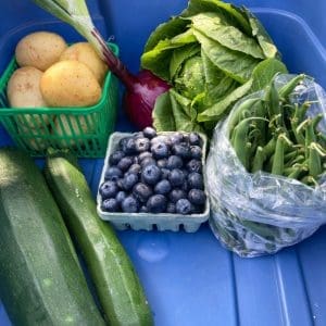 csa small share august