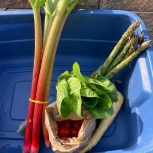 csa small share with spring produce