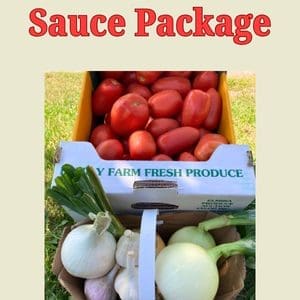 tomatoes, garlic and onions perfectly portioned for a delicious sauce