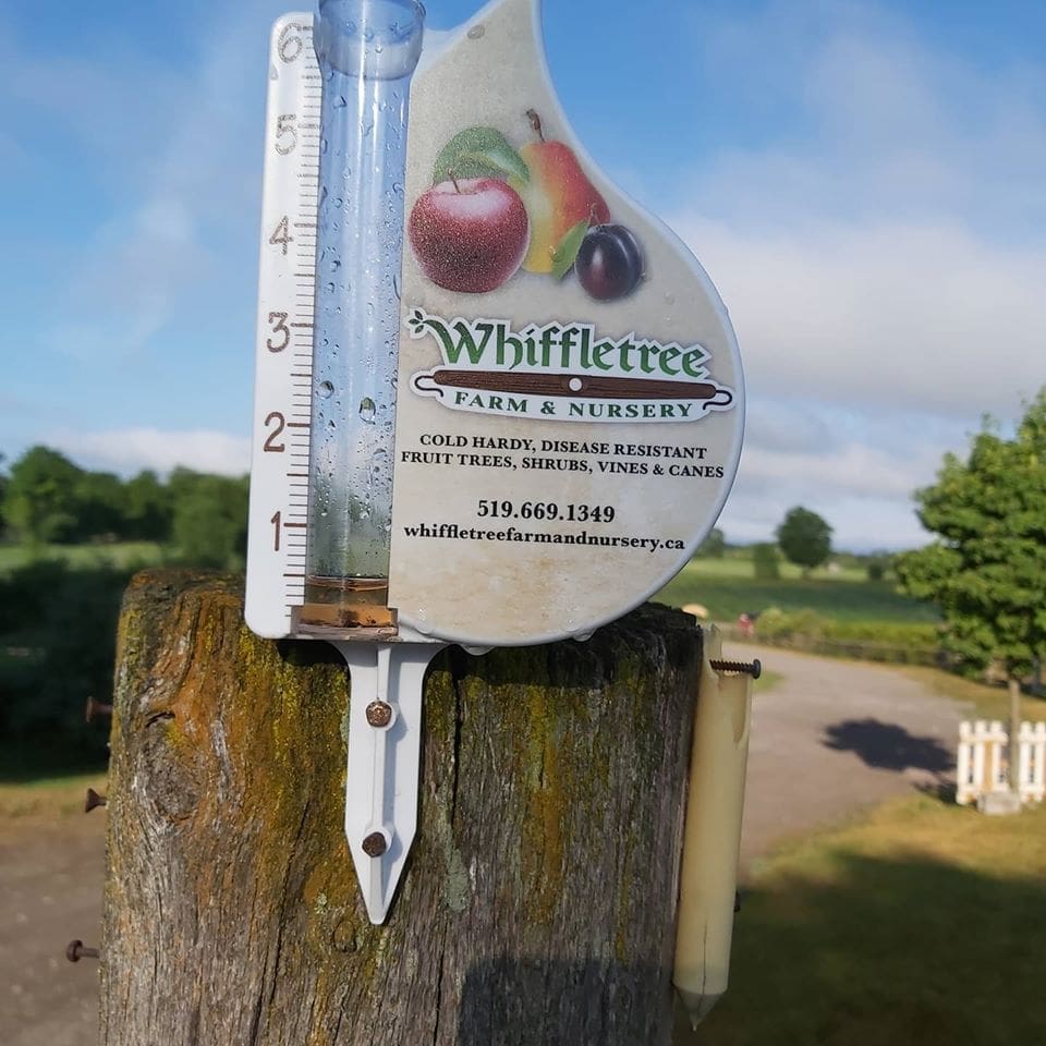 rain gauge