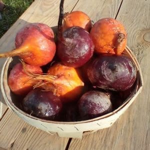 beets
