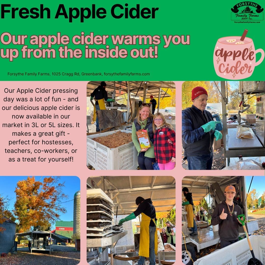 Delicious sweet apple cider fresh pressed on the farm last Sunday in October. Vacuum bag means no refrigeration is required